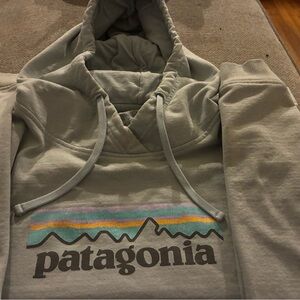 Patagonia Light Gray Hoodie with Colorful Logo